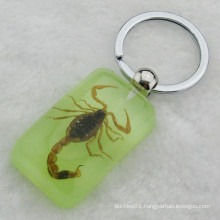 2014 Fashion Transparent Amber Scorpion Keychain